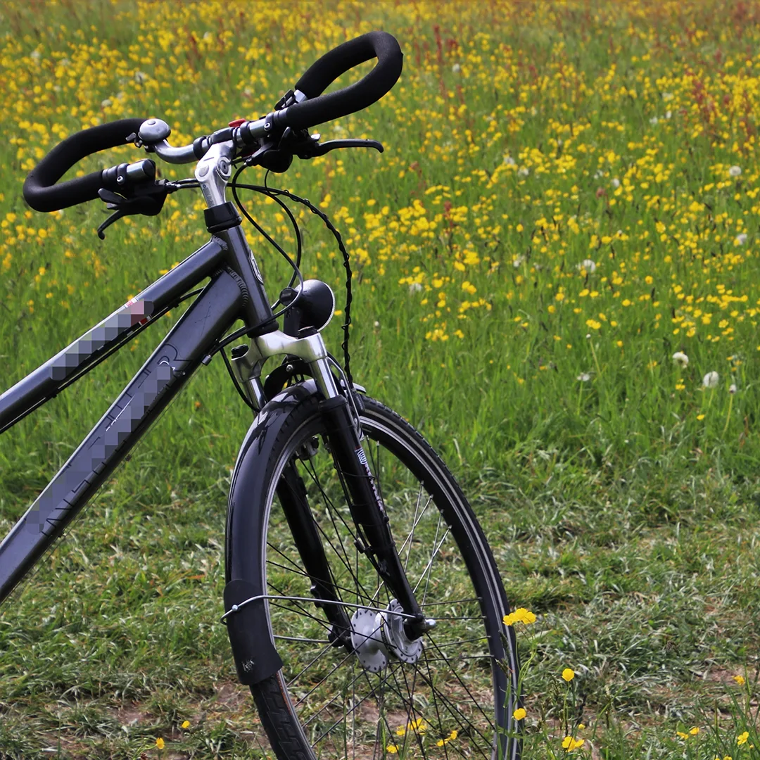 carbon fiber bike frame